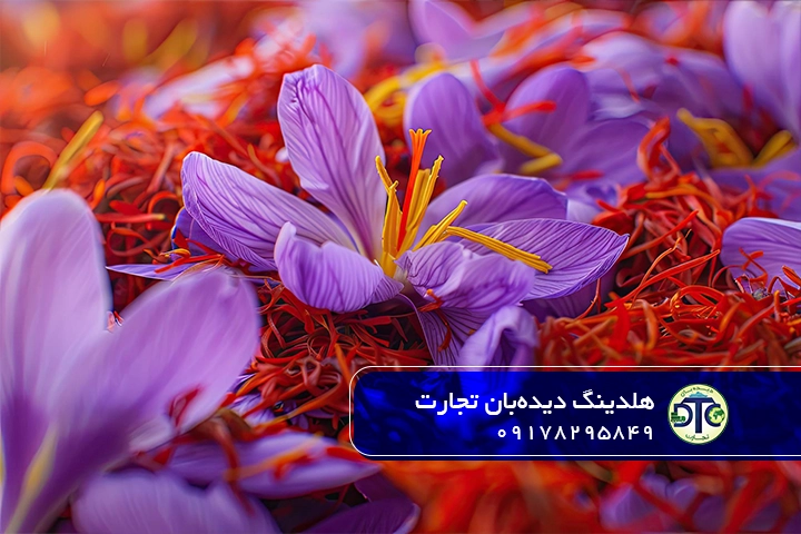 صادرات زعفران ایران