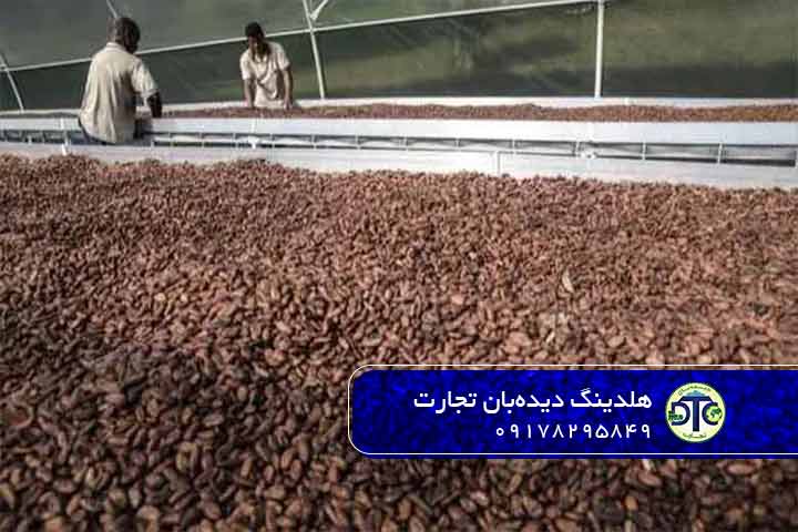 مزایا و معایب واردات کاکائو به ایران