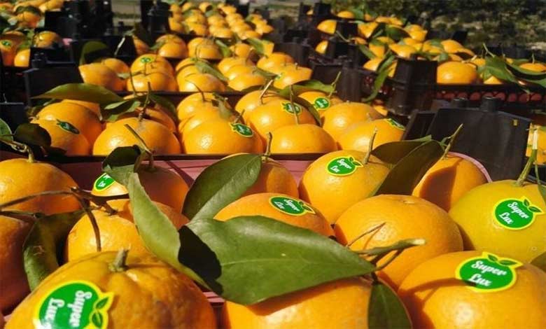 صادرات مرکبات به روسیه