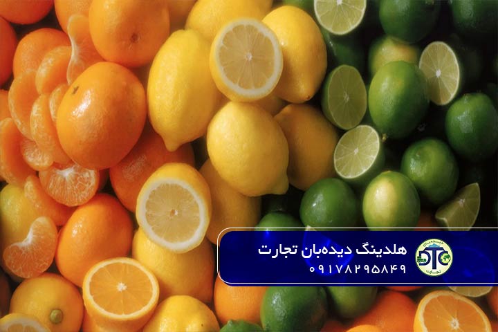 راهکارهای عملی برای موفقیت در بازار روسیه
